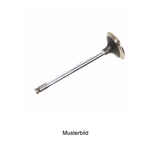 Einlaßventil 7301820