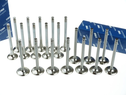 Trw 10x einlassventil - 10x,