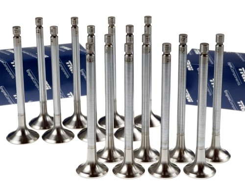 Trw einlassventil 8x - trw,
