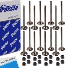 FRECCIA Ein/Auslassventil